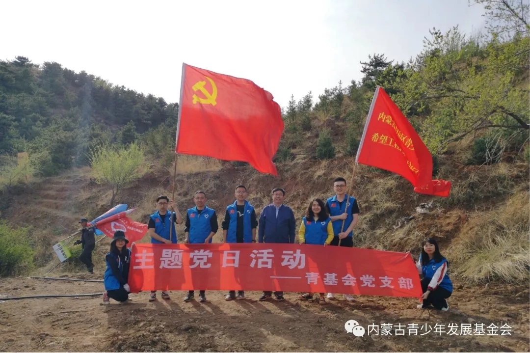 网站系统上传1560478227an991982.jpg