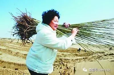 网站系统上传1593657201an879511.png