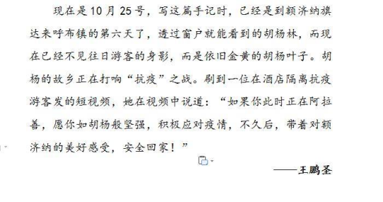 网站系统上传1635317326an445565.png