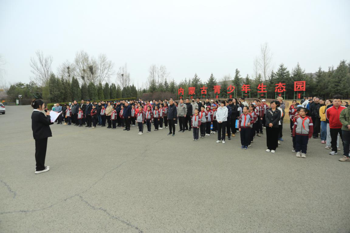 网站系统上传1745198519an459371.png