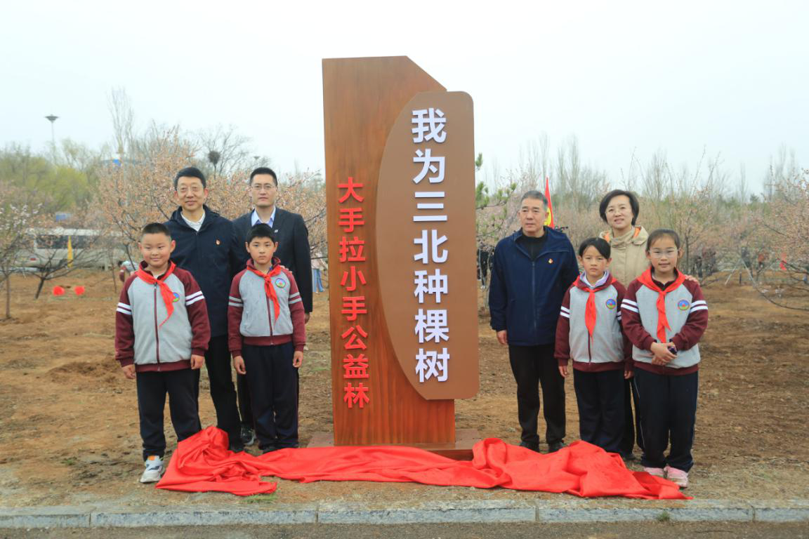 网站系统上传1745198580an136892.png